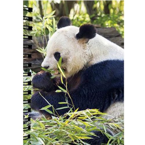 Notitieboekje Panda