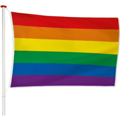 Regenboogvlag - 150x90cm
