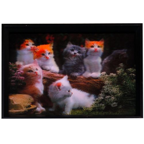 3d schilderij Kittens