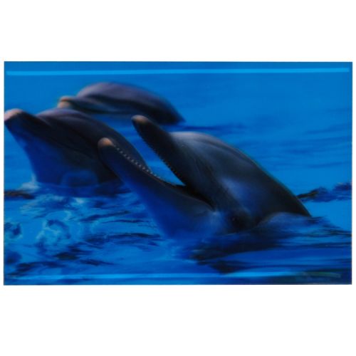 3-d poster dolfijnen