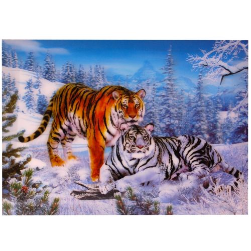 3-d poster tijgers