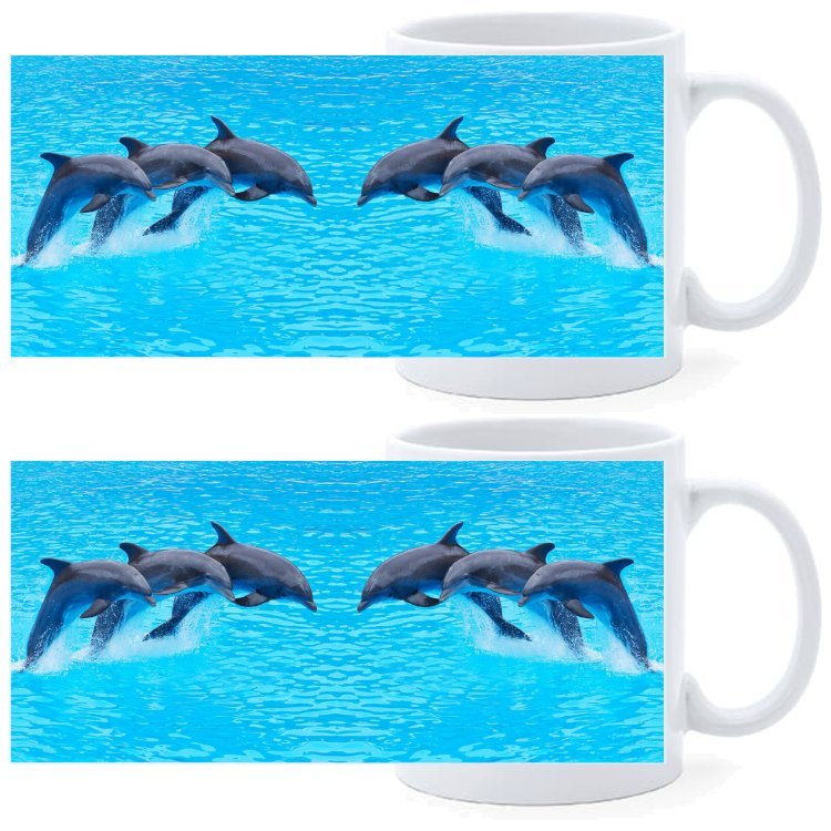 Beker - 3 Dolfijnen Gespiegeld - set van 2